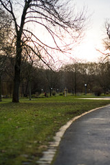Green spring park with paths and bike paths. Infrastructure. Place for rest and entertainment. Nature. Background.