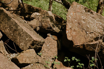Rencontre avec un écureuil lors d'une randonnée à Zion National Park 