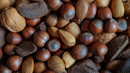 Assortment of whole nuts, walnuts, almonds, hazelnuts and Brazil nuts. Variety of fresh hard shell nuts, nutritious snack cracked and eaten in autumn or winter months as a special holidays treat.