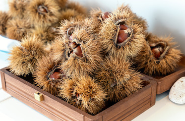 chestnut curls. fall, winter healthy food - 314901334