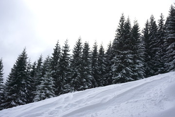 Zima w Tatrzańskim Parku Narodowym
