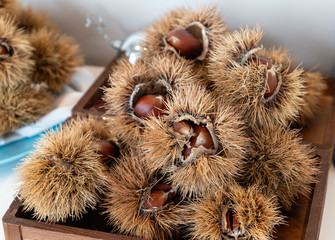 chestnut curls. fall, winter healthy food - 314901374