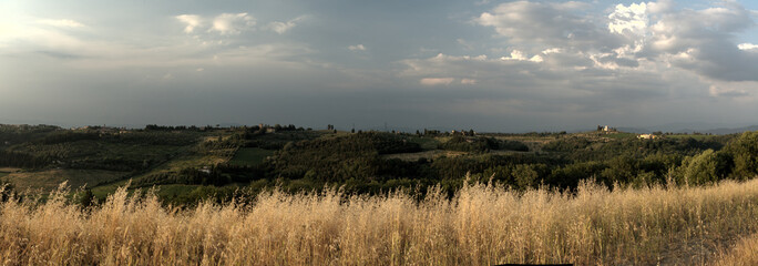 Tuscan Fields and woods in Summer