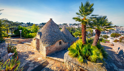 Amazing morning view of strret with trullo  -  traditional Apulian dry stone hut with a conical roof. Impressive spring cityscape of Alberobello town, province of Bari, Apulia region, Italy, Europe. - obrazy, fototapety, plakaty