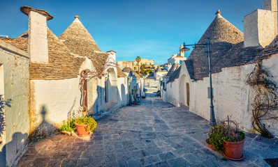 Colorful morning view of strret with trullo  -  traditional Apulian dry stone hut with a conical roof. Nice spring cityscape of Alberobello town, province of Bari, Apulia region, Italy, Europe. - obrazy, fototapety, plakaty
