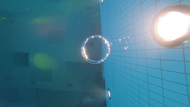 Blowing a bubble ring underwater then following it to the surface as it breaks apart