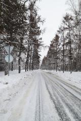 Naklejka premium Winter road among the trees against the gray sky, vertical shot