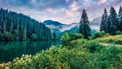 Fotobehang Dramatische ochtendscène van het meer van Lacu Rosu. Mistige zomerzonsopgang in Harghita County, Roemenië, Europa. Schoonheid van de natuur concept achtergrond. © Andrew Mayovskyy