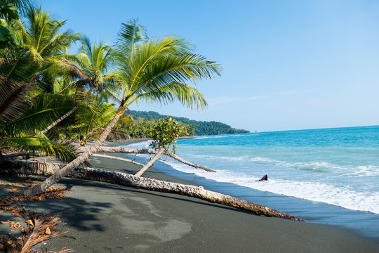 Beach and tropical rain forest of Costa Rica Central America Corcovado National Park close to Puerto Jimenez