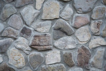 Variety of backgrounds such as stones, wood, concrete or pavement.
