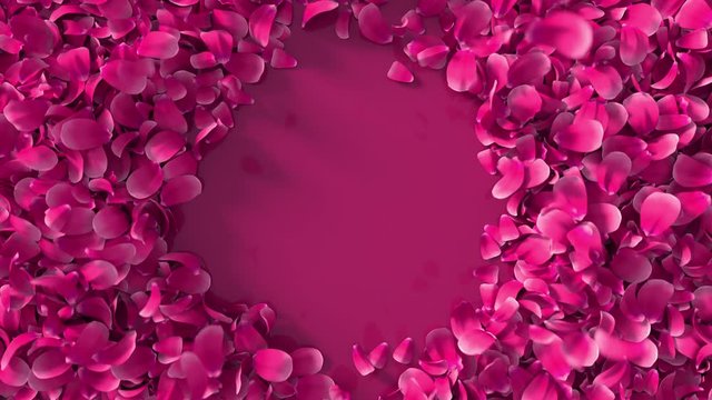 Realistic 3D animation of pink petals explosing to create circle copy space background. Floral Valentine's Day or wedding backdrop. 4k reactive fresh concept.