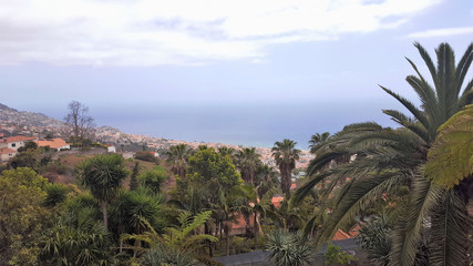 Fototapeta na wymiar Madère, la baie de Funchal vue du Jardim tropical