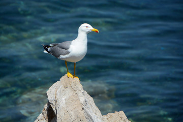 impressions from Nice, France