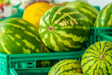 a closeup shoot to good looking pastel green watermelons in crate