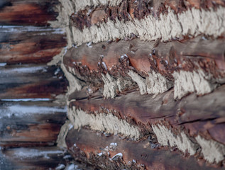 Traditional rural old log barn wall with copy space