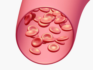 healthy red blood cells in a blood vessel. 3d illustration