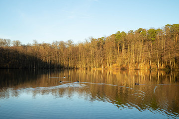 Fototapeta premium Seewaldseen