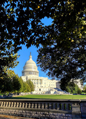 The United States Capitol Building in Washington, DC.