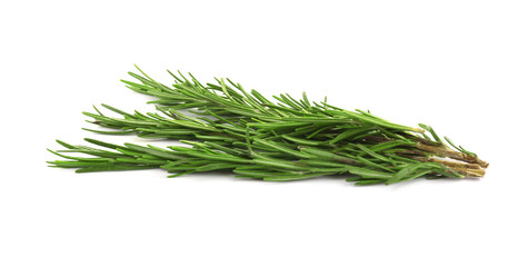 Fresh green rosemary isolated on white. Aromatic herb