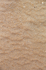 Dune di sabbia in spaiggia