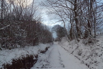 Wintry lane