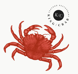 Crab illustration. Hand drawn vector seafood illustration. Engraved style crustacean. Vintage lobster image.
