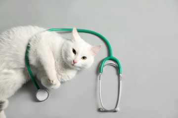 Cute cat with stethoscope as veterinarian on grey background, top view