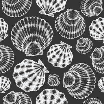 Scallop seamless pattern. Hand drawn vector seafood illustration on chalk board. Engraved style seashell. Retro mollusk background. Pearl shell illustration
