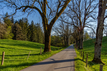 Fototapeta premium Landstraße in einer ländlichen Region