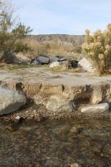 Cutting through the confluence of Mojave and Colorado Deserts on Mission Creek Preserve, this rare stream provides an ecological sanctuary.