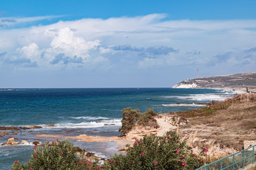 the white chalk cliffs of rosh hanikra viewed from akhziv national park in israel with flowering oleander in the foreground