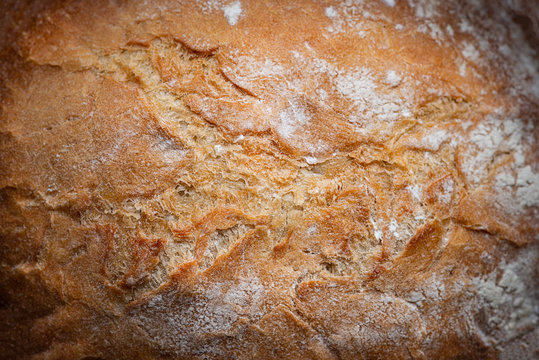 Sourdough close up 
