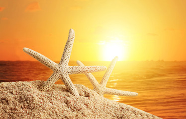 Naklejka na ściany i meble Starfish closeup on sand with sunrise over ocean water background. Relaxing morning at the seaside beach, warm tones. 