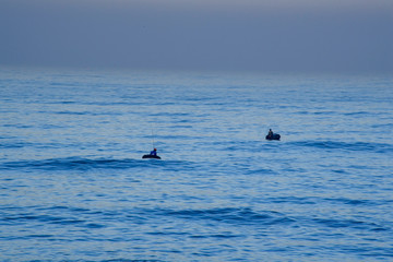 Naklejka premium Two Men Fishing in Morocco