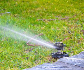 Lawn Watering in the park or garden, beautiful mowed green grass in the park and tall trees around,...