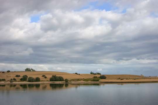 Charca de Maspalomas