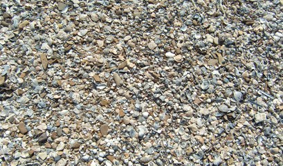  Shallow beach