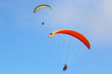 Paragliders flying wing in a blue sky	