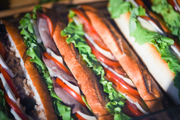 delicious italian panini close up