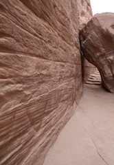 A challenging path – risk and promises 