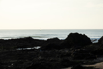 Rochers noirs à marée basse