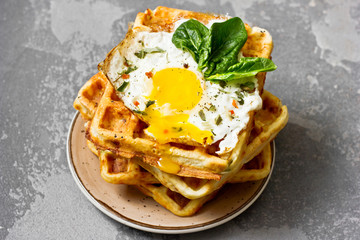 Fried egg on cheese viennese waffles with basil and spices