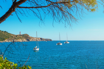 Le Site Classé de l'Anse de Paulilles,Occitanie. 