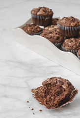 Chocolate muffins served in a tray. One of them bitten and isolated.