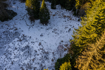 Cerne jezero in the Bohemian Forest is the largest and deepest natural lake in the Czech Republic. This triangular lake surrounded with spruce forest is located about 6 km northwest of Zelezna Ruda.
