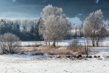 Schneelandschaft mit rauhreifbedeckten Bäumen, märchenhaftes Winterwunderland