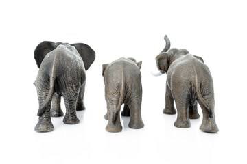 Elephant family. Backside of the  elephant isolated on white background.