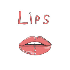 beauty red sexy female lips vector from girl