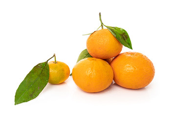 mandarins with leaf isolated on white background