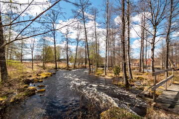Flood after the snow melt in spring in Varmland / Sweden